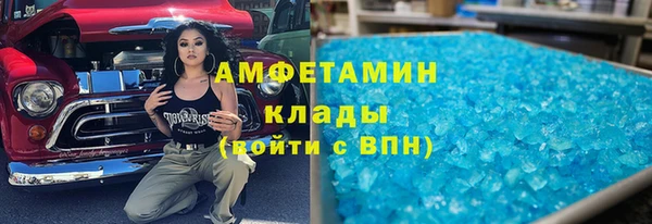 стаф Вязьма